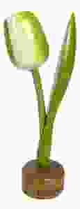 Tulp op houten voet, Wit met Groen