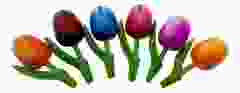 Cadeau Magneet set 6 Houten Tulp Magneten, 8 cm