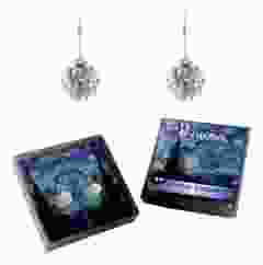 Oorbellen met glinsterende kristallen steentjes, Van Gogh, Sterrennacht