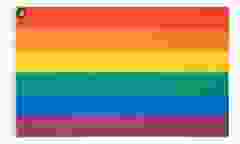 Regenboog Pride Vlag 