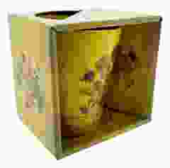 Vincent van Gogh's Zonnebloemen Mok (Groot)