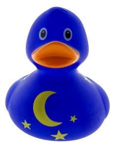 Rubber duck Starry Night