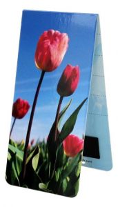 Boekenlegger Tulpenveld
