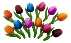 Cadeau Magneet set 12 Houten Tulp Magneten, 8 cm