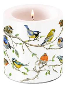 Kaars "Small Birds meeting" - Klein