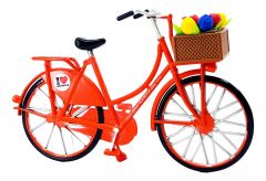 Bicycle Amsterdam Orange with Tulips - Small