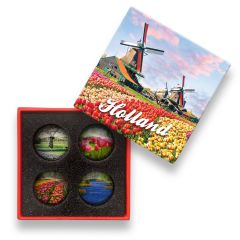 Glasmagneten Cadeaudoosje "Hollandse Tulpen"