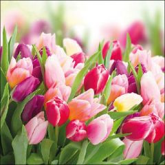 Pakje Servetten "Glorious Tulips" (20 stuks)