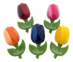 Setje Tulp Magneten, 5 stuks