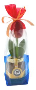Hollands Goud: Bloemenhoning & Houten Tulp