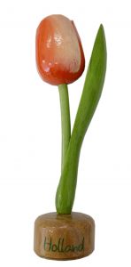 Tulp op houten voet, orange wit