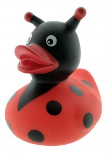 Rubber Duck Ladybug