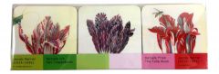 Onderzetters "Het Tulpen Boek" Jacob Marrel