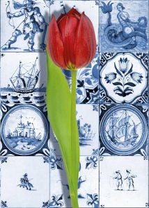Postkaart Tegels en Tulp