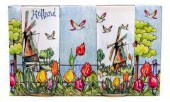 Cadeaudoos 2 mokken Kleurrijk Holland