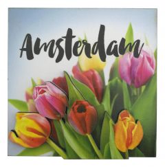Magneet "Amsterdamse Houten Tulpen"