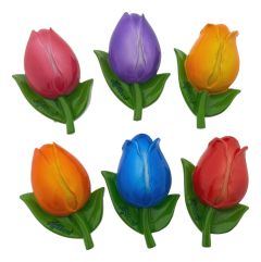 Set van 6 Grote Tulp Magneten 'Holland', Groot