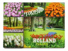 Koelkastmagneet "Tulpen Holland"