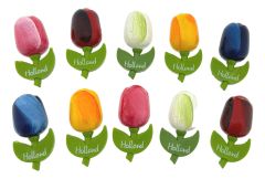 Setje Tulp Magneten, 10 stuks