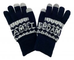 Mannen Handschoenen Amsterdam "Blauw"