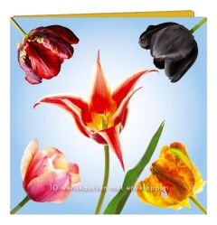 Kaartenmapje Tulpen - 10 Wenskaarten met Enveloppen