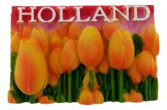 Gele Tulpen Magneet Holland - 3D