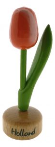 Kleine Tulp Holland - Oranje