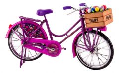 Fiets "Roze en Paars met Tulpen"