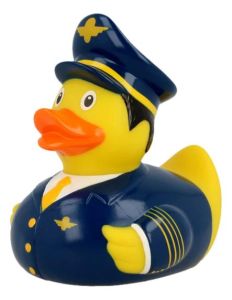 Pilot Duck