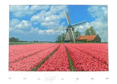 Postkaart "Landschap met Tulpen"