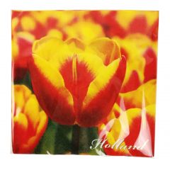 Servetten tulpen, geel