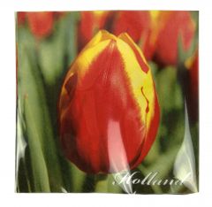 Servetten tulpen, kleur
