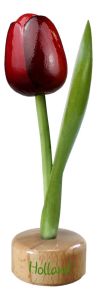 Tulp op houten voet, Rood met Aubergine