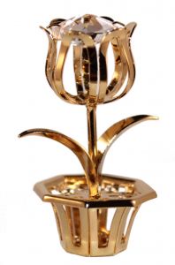 Tulip single, crystal clear