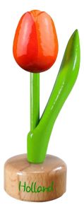 Kleine Tulp Holland - Oranje 11cm