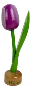 Tulp op houten voet, Paars / Wit