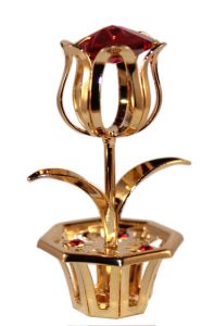 Tulip single, bordeaux red