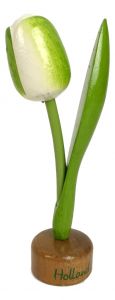 Tulp op houten voet, Wit met Groen