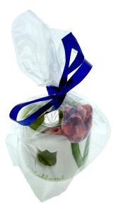 Partylight Tulip "Pink/Blue"