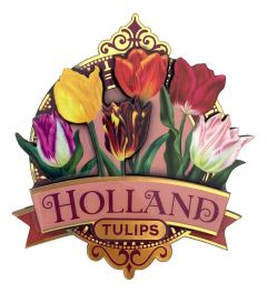 Glanzende Tulpen Magneet Holland
