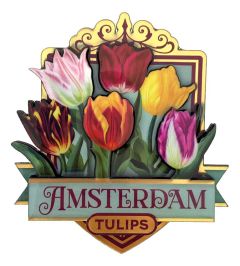 Glanzende Tulpen Magneet Amsterdam