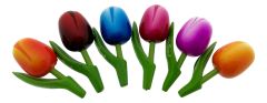 Cadeau Magneet set 6 Houten Tulp Magneten, 8 cm