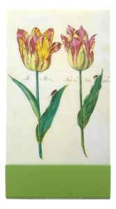 Notitieboekje klein, Twee tulpen