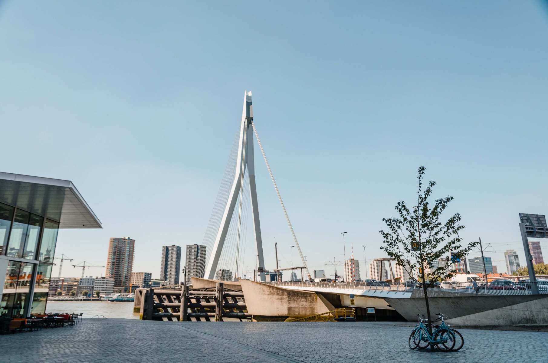 10x De leukste Rotterdamse souvenirs om te geven